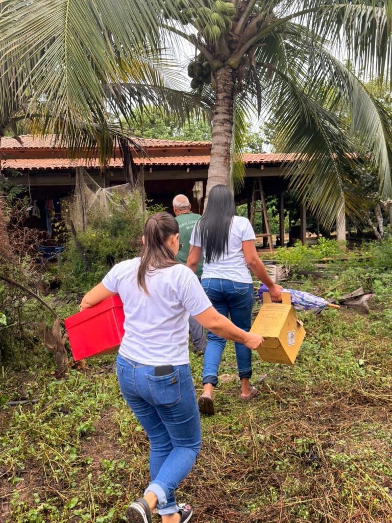 D24d2282 fa18 4d43 9bb0 b519c29e104b 1