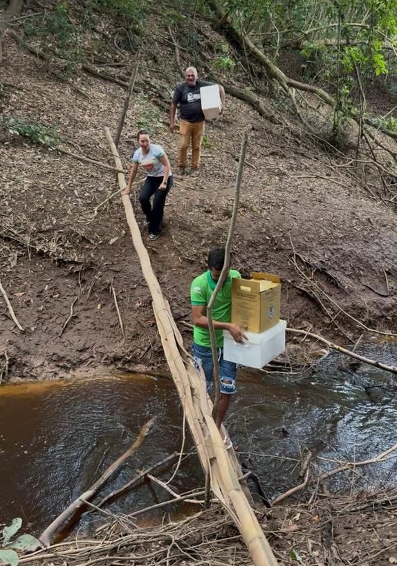 D3e89df3 7b99 485d a837 c3d39494e11c