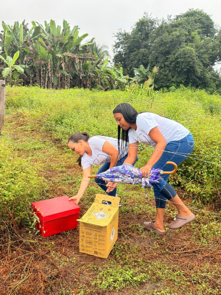 D8bbf66a 826d 4bfe 8104 09ce67bc6fcb